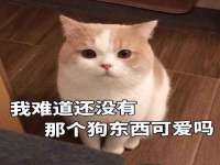 义乌市郢峪电子商务商行