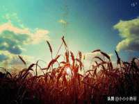 义乌市郢峪电子商务商行
