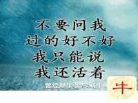 义乌市郢峪电子商务商行