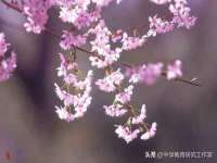 义乌市郢峪电子商务商行