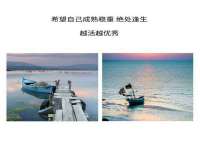 义乌市郢峪电子商务商行
