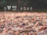 义乌市郢峪电子商务商行