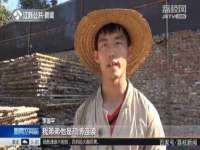 义乌市郢峪电子商务商行