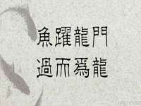 义乌市郢峪电子商务商行
