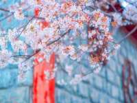 义乌市郢峪电子商务商行