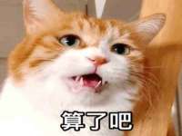 义乌市郢峪电子商务商行