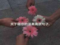 义乌市郢峪电子商务商行