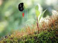 义乌市郢峪电子商务商行