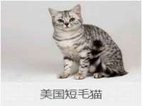 义乌市郢峪电子商务商行