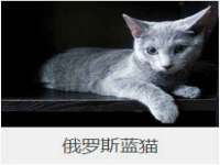 义乌市郢峪电子商务商行