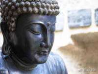 义乌市郢峪电子商务商行