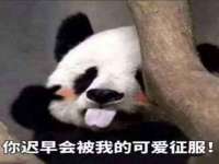 义乌市郢峪电子商务商行