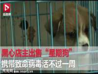 义乌市郢峪电子商务商行
