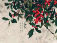 义乌市郢峪电子商务商行