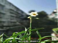 义乌市郢峪电子商务商行