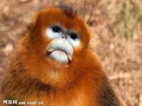 义乌市郢峪电子商务商行