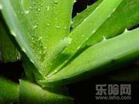 义乌市郢峪电子商务商行