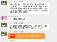 义乌市郢峪电子商务商行