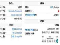 义乌市郢峪电子商务商行