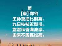 义乌市郢峪电子商务商行