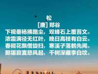 义乌市郢峪电子商务商行