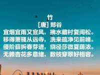 义乌市郢峪电子商务商行