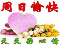 义乌市郢峪电子商务商行