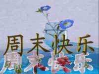 义乌市郢峪电子商务商行