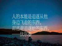 义乌市郢峪电子商务商行