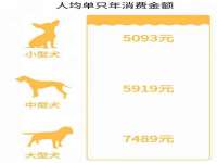 义乌市郢峪电子商务商行