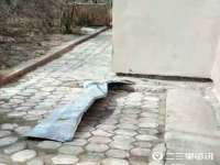 义乌市郢峪电子商务商行