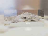义乌市郢峪电子商务商行