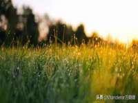 义乌市郢峪电子商务商行