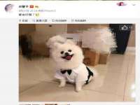 义乌市郢峪电子商务商行