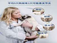 义乌市郢峪电子商务商行