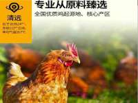 义乌市郢峪电子商务商行