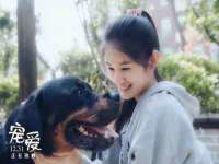 义乌市郢峪电子商务商行