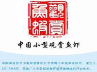 义乌市郢峪电子商务商行