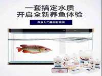 义乌市郢峪电子商务商行