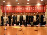 义乌市郢峪电子商务商行