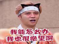 义乌市郢峪电子商务商行