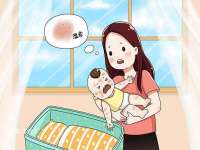 义乌市郢峪电子商务商行