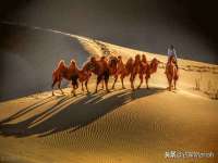 义乌市郢峪电子商务商行
