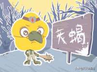 义乌市郢峪电子商务商行
