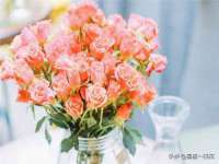 义乌市郢峪电子商务商行