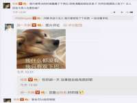 义乌市郢峪电子商务商行