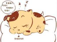 义乌市郢峪电子商务商行
