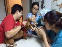 义乌市郢峪电子商务商行
