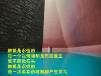 义乌市郢峪电子商务商行