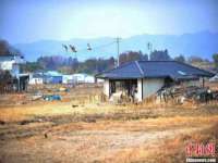 义乌市郢峪电子商务商行